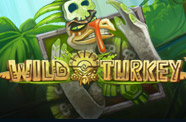 Wildturkey